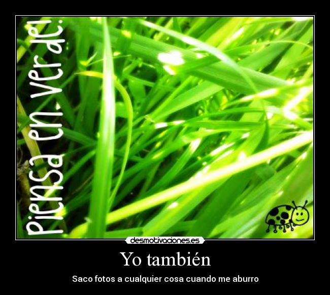 Yo también - Saco fotos a cualquier cosa cuando me aburro