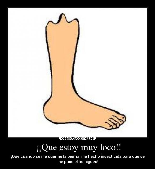 ¡¡Que estoy muy loco!! -