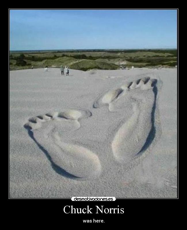 carteles chuck norris desmotivaciones