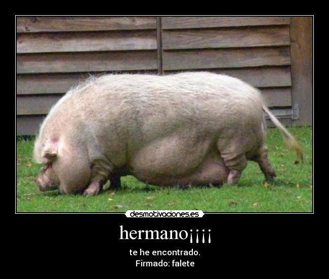 hermano¡¡¡¡ -