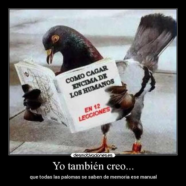 Yo también creo... - que todas las palomas se saben de memoria ese manual
