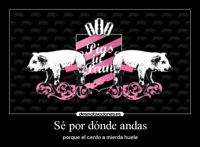 carteles cerdos desmotivaciones