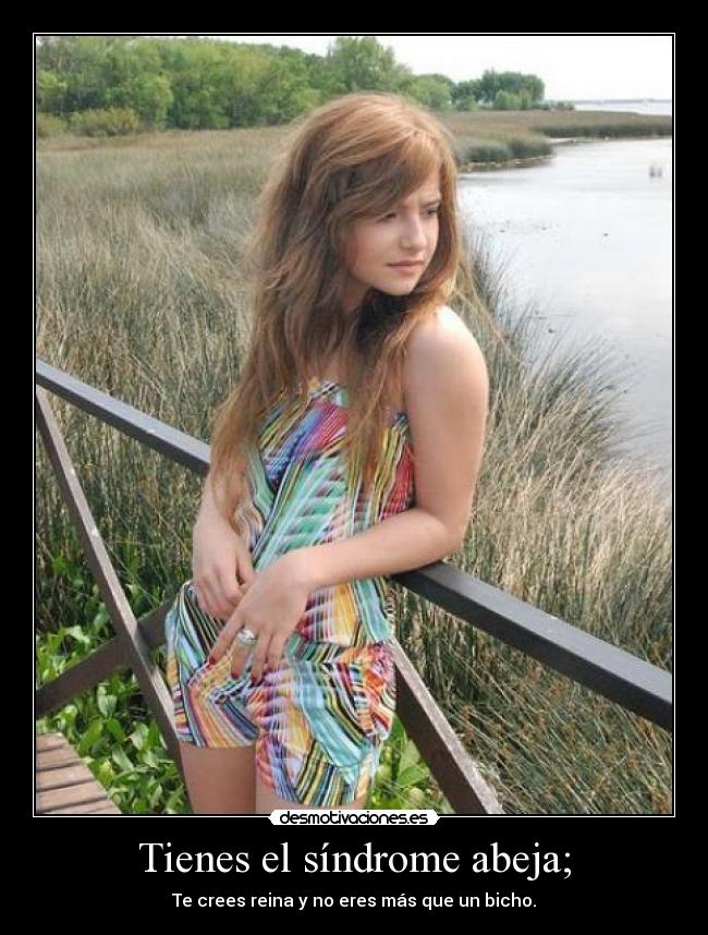 Tienes el síndrome abeja; -