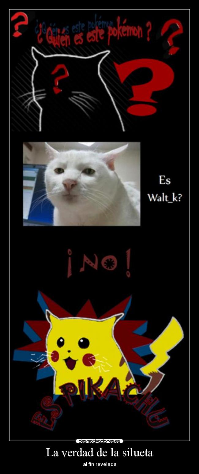 La verdad de la silueta - al fin revelada