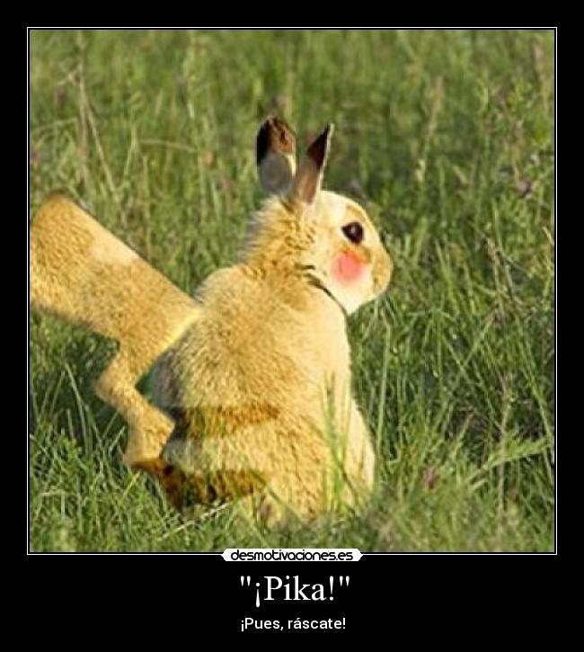 ¡Pika! - 