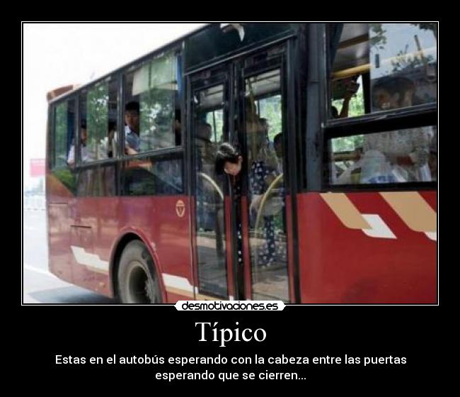 Típico - Estas en el autobús esperando con la cabeza entre las puertas
esperando que se cierren...