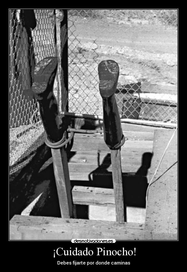 ¡Cuidado Pinocho! - 