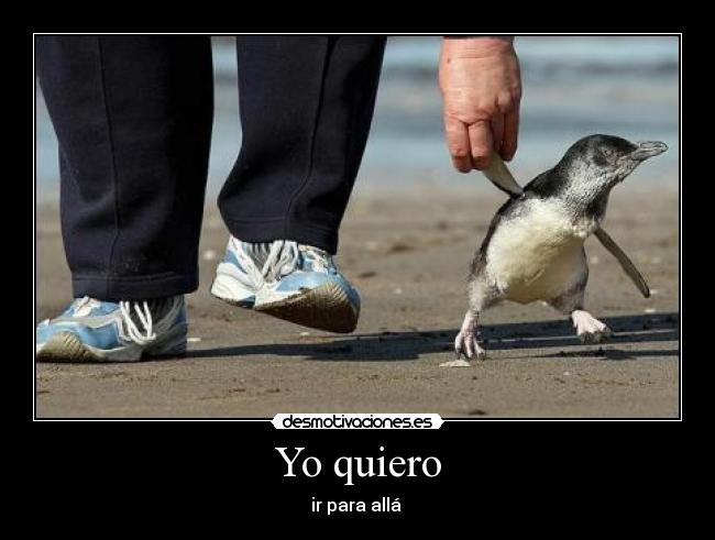 Yo quiero -