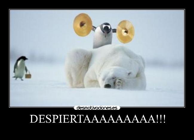 DESPIERTAAAAAAAAA!!! - 