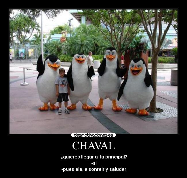 CHAVAL -