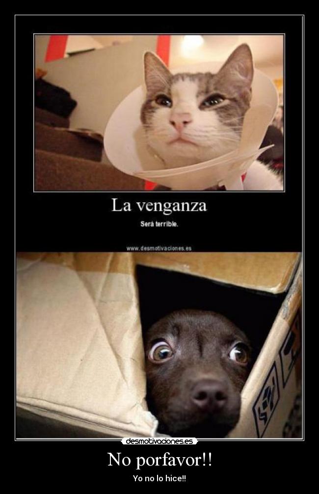 No porfavor!! -