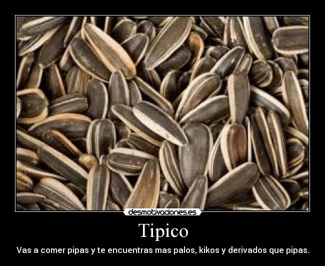 Tipico -