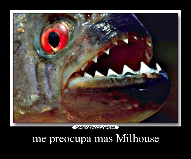 carteles pirana piranha milhouse preocupa desmotivaciones