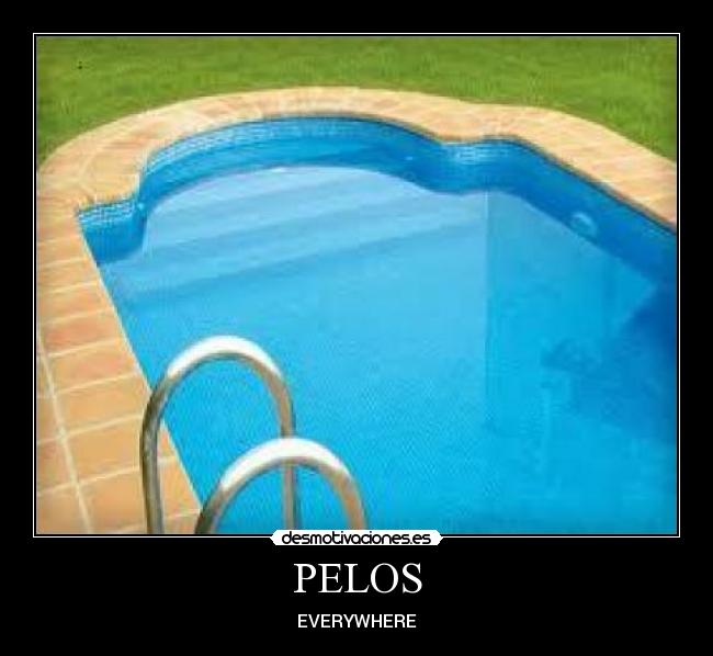 carteles pelos desmotivaciones