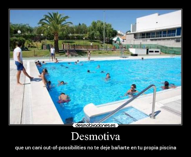 Desmotiva - que un cani out-of-possibilities no te deje bañarte en tu propia piscina