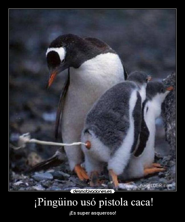 carteles encontraba bien mentalmente desmotivaciones