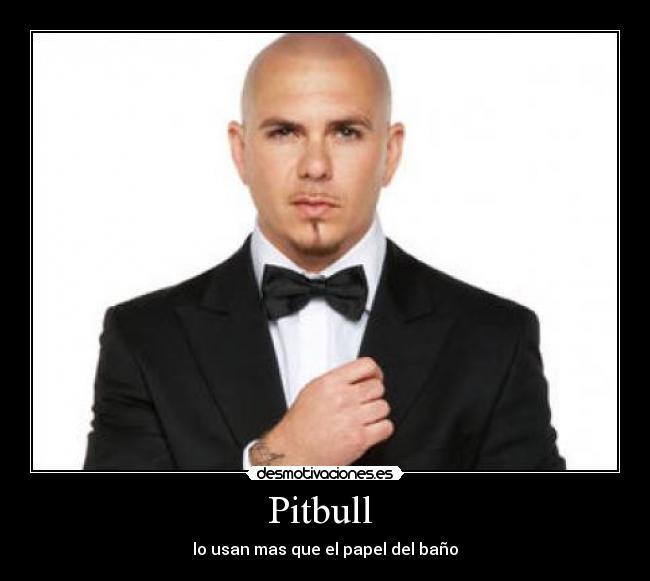 Pitbull  - lo usan mas que el papel del baño