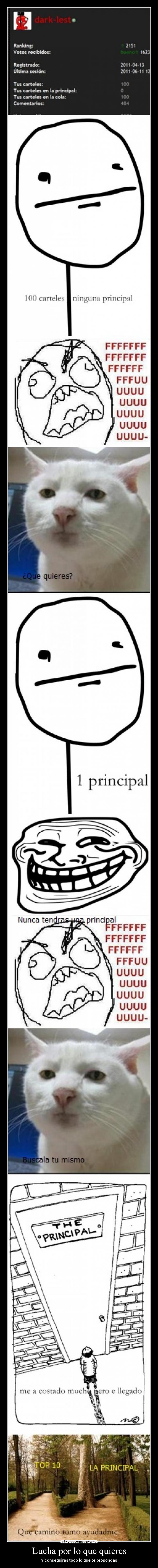 Lucha por lo que quieres - 