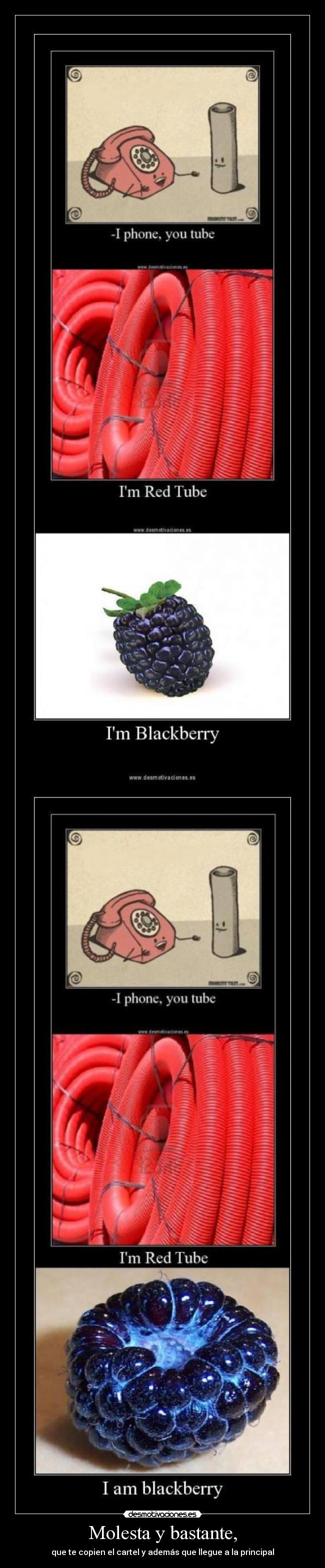 Molesta y bastante, -