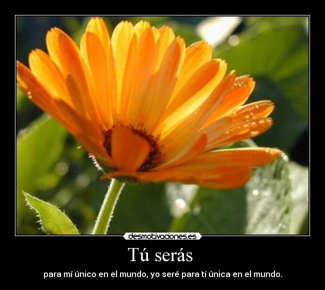 Tú serás - para mí único en el mundo, yo seré para tí única en el mundo.