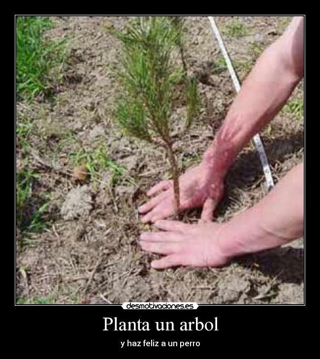 Planta un arbol - y haz feliz a un perro