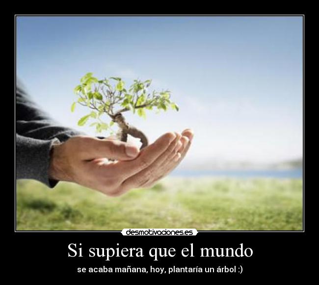 Si supiera que el mundo -