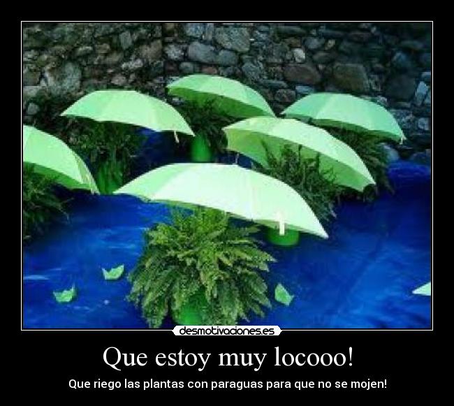 Que estoy muy locooo! -