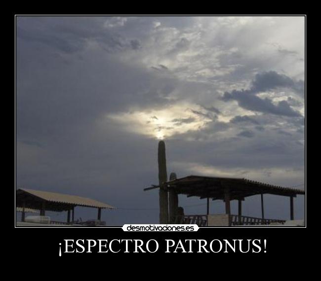 ¡ESPECTRO PATRONUS! - 