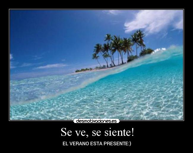 Se ve, se siente! -
