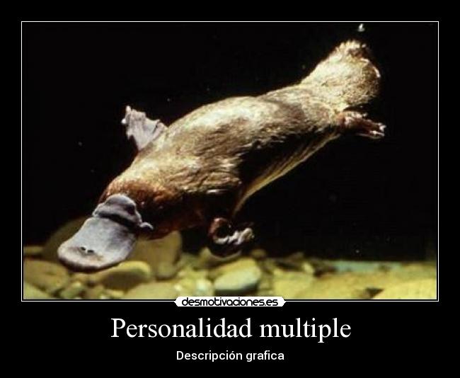 Personalidad multiple - Descripción grafica