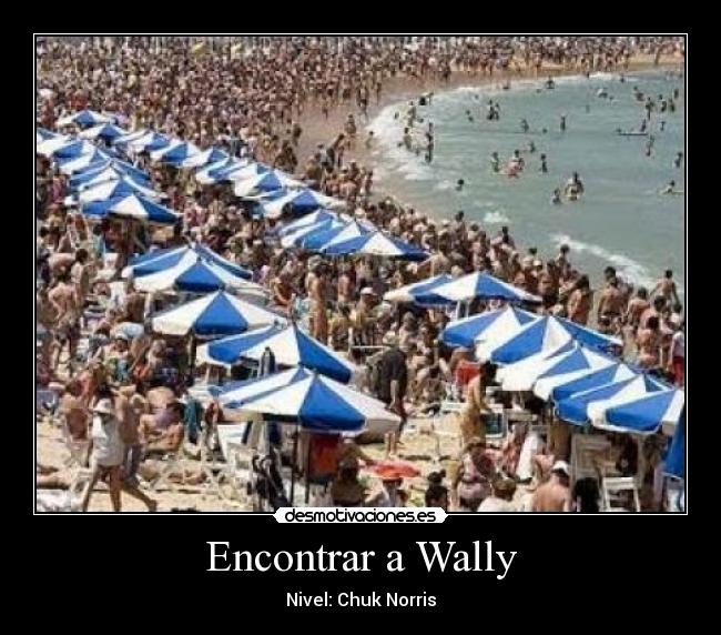 carteles chuk norris desmotivaciones