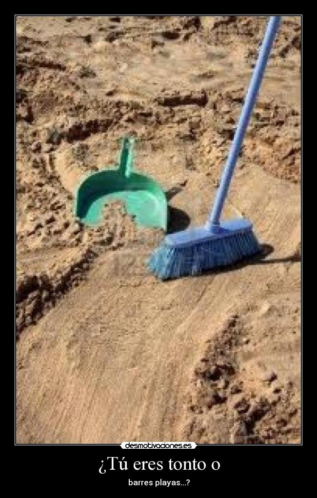 ¿Tú eres tonto o - barres playas...?