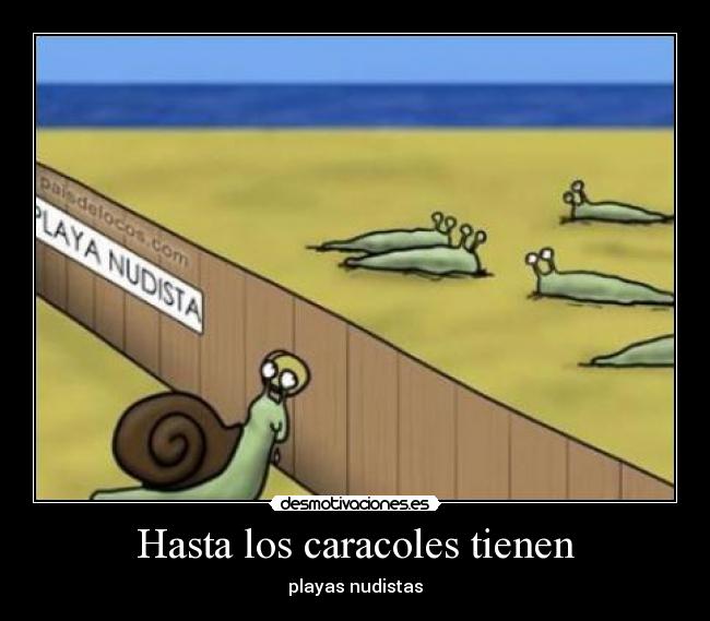 Hasta los caracoles tienen - playas nudistas