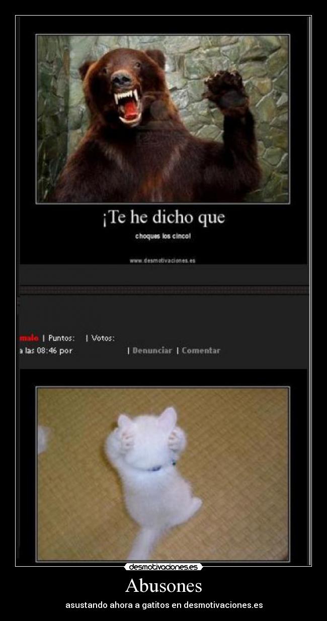Abusones - asustando ahora a gatitos en desmotivaciones.es
