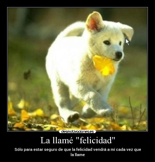 La llamé felicidad -