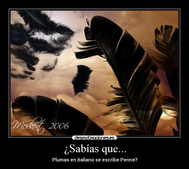 ¿Sabías que... - Plumas en italiano se escribe Penne?