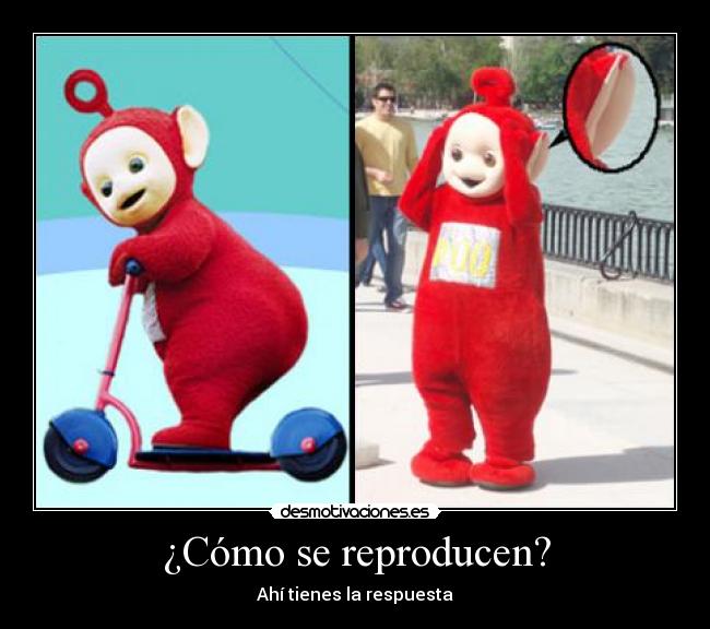 ¿Cómo se reproducen? - 