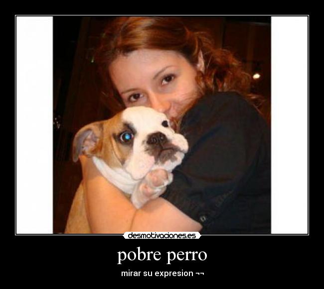 pobre perro - mirar su expresion ¬¬
