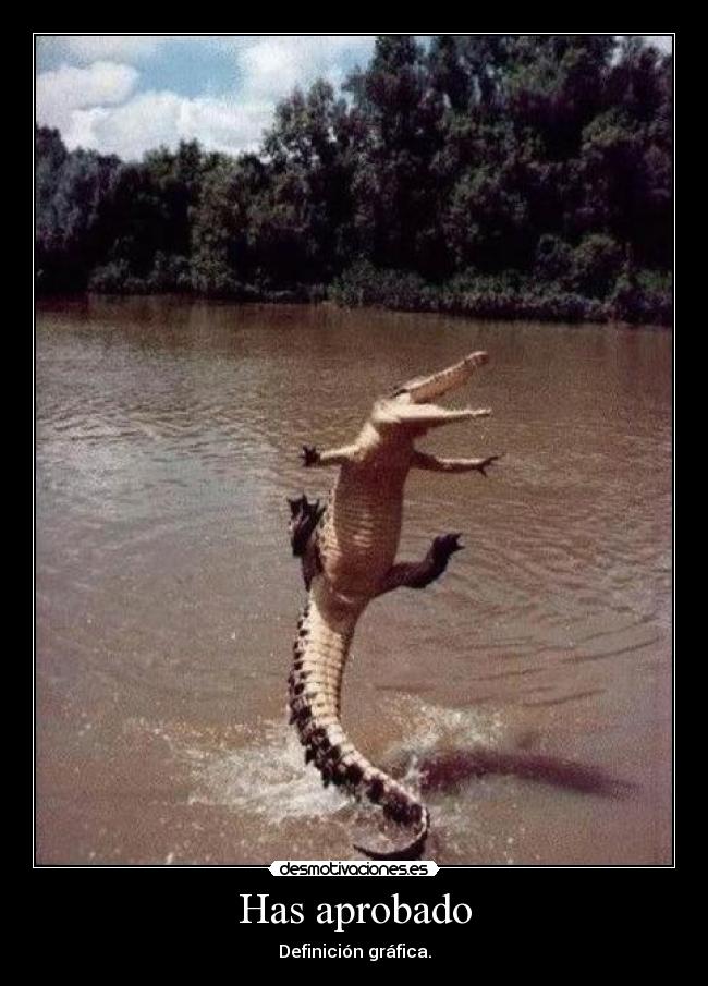 Has aprobado - Definición gráfica.