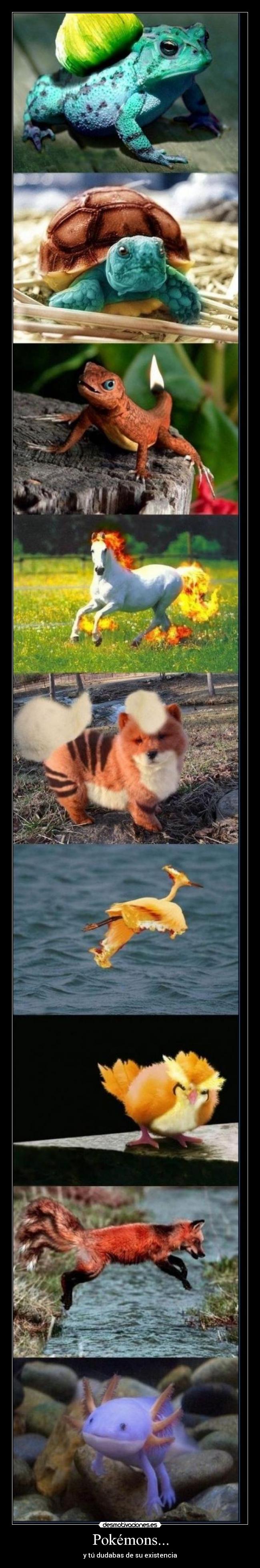 Pokémons... - y tú dudabas de su existencia
