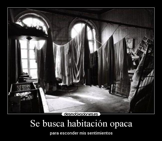 Se busca habitación opaca - para esconder mis sentimientos