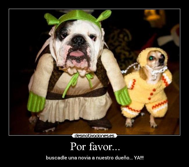 Por favor... - buscadle una novia a nuestro dueño... YA!!!