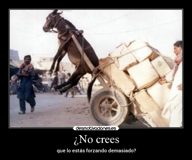 ¿No crees - 