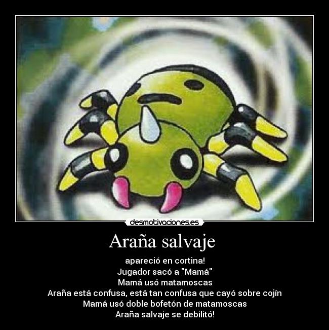 Araña salvaje  - apareció en cortina!
Jugador sacó a Mamá
Mamá usó matamoscas
Araña está confusa, está tan confusa que cayó sobre cojín
Mamá usó doble bofetón de matamoscas
Araña salvaje se debilitó!