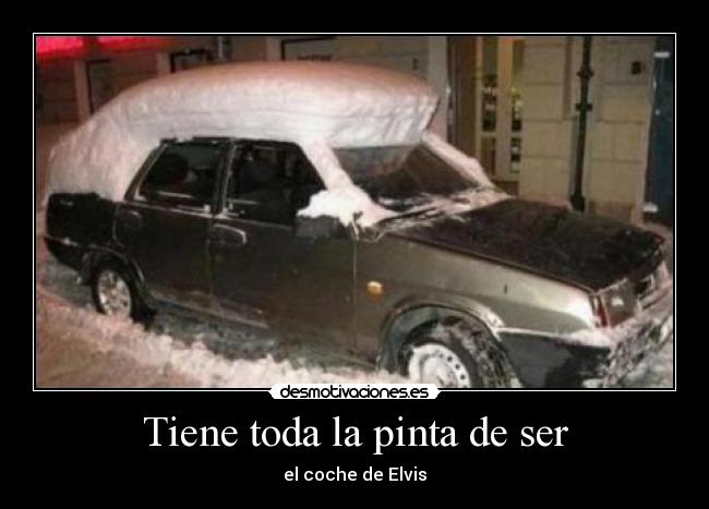 Tiene toda la pinta de ser - 