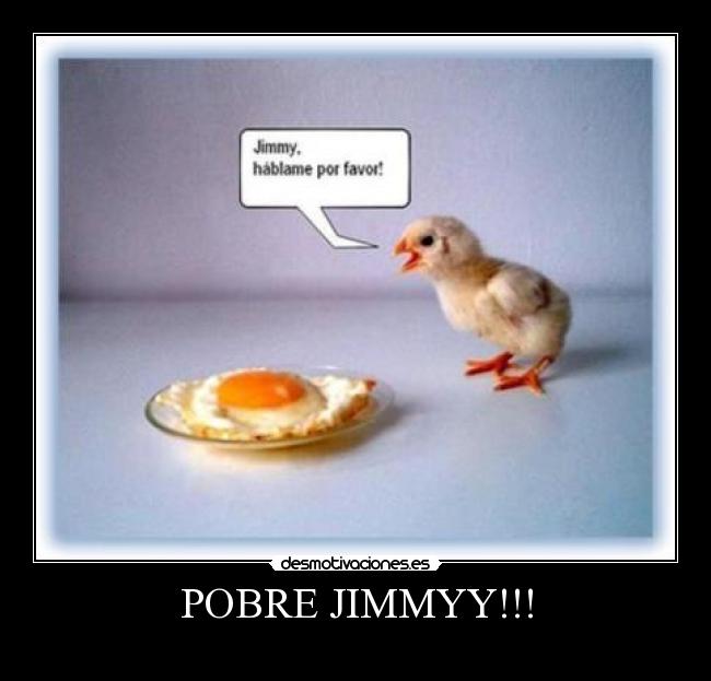 carteles pollito desmotivaciones