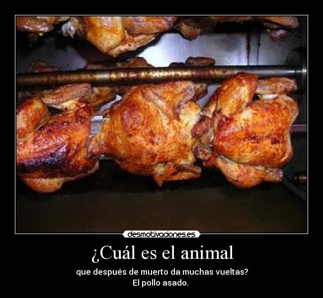 ¿Cuál es el animal - que después de muerto da muchas vueltas?
El pollo asado.