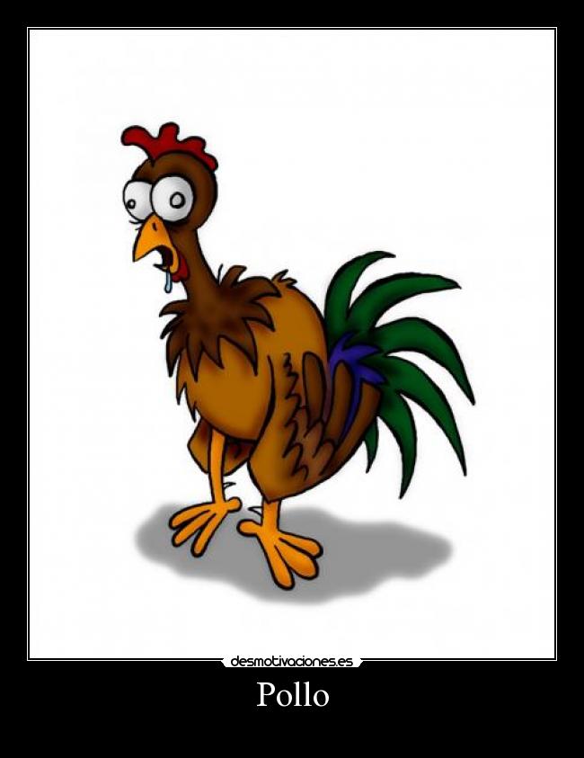 Pollo - 