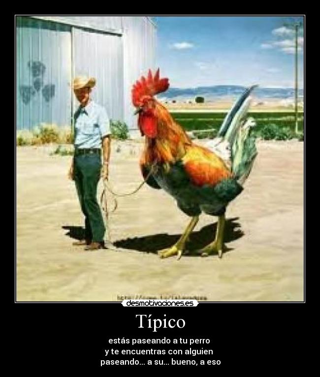 Típico - estás paseando a tu perro
y te encuentras con alguien
paseando... a su... bueno, a eso