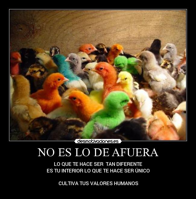 NO ES LO DE AFUERA -